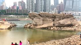 佛山奇派一族:精湛工艺与高雅品味